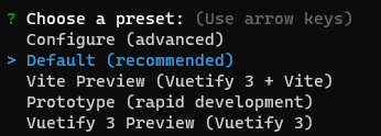 Choosing a Vuetify preset.